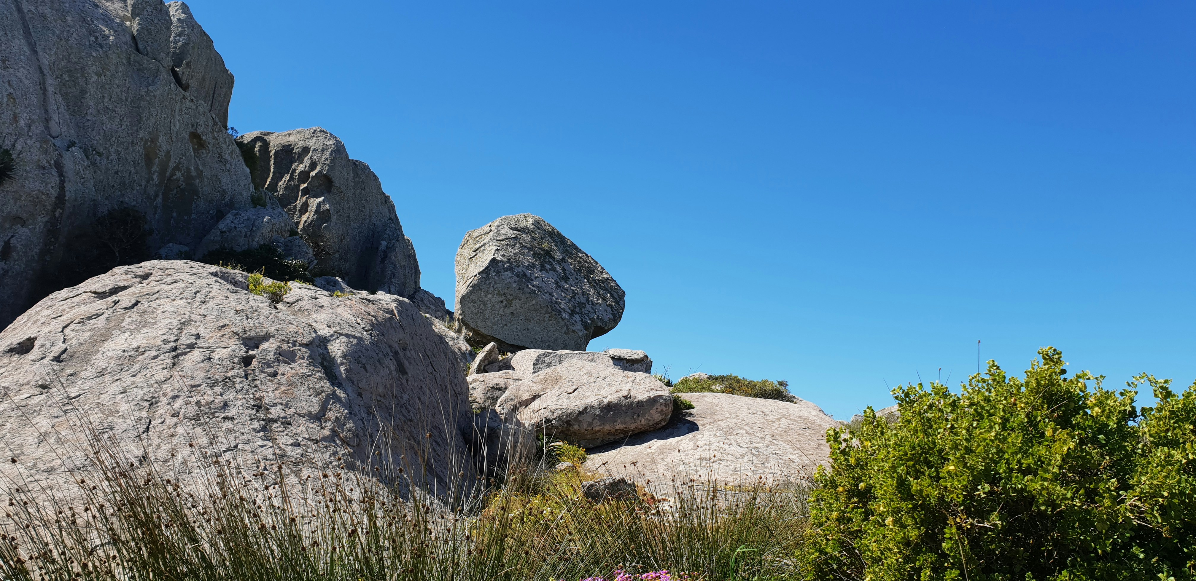 Rock skies. Rock skies. Зебо и скалы на горизонте. Подводная гора лос рокеса. Обои на телефон море вертикальные.