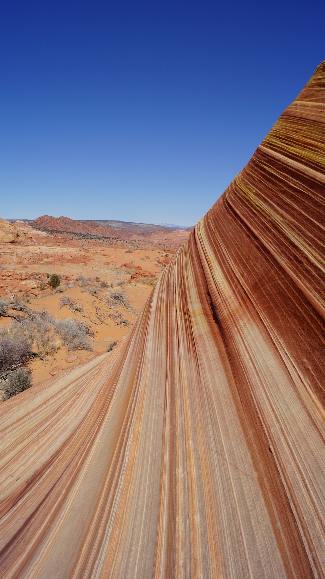 Desert photo spot The Wave Trail Bend