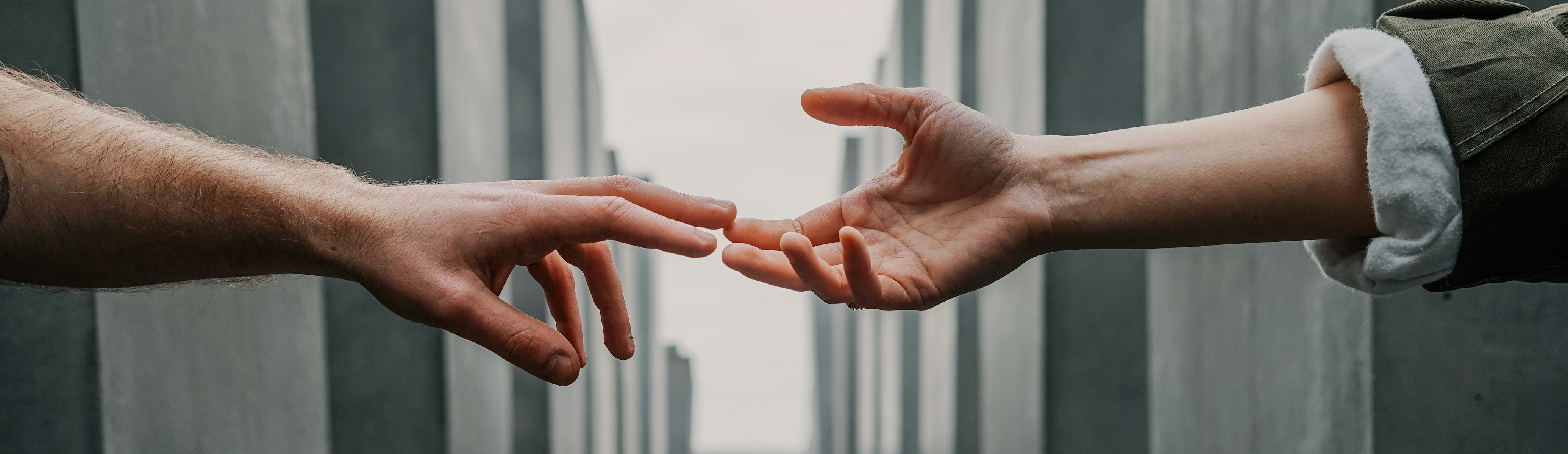 People holding protest signs