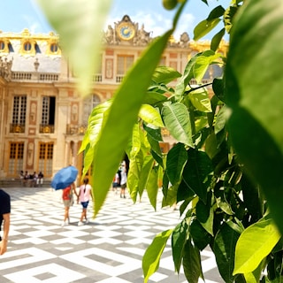 A grand historical palace with ornate architectural details is seen in the background. In the foreground, there are lush green leaves partially obscuring the view. The courtyard is patterned with a black and white geometric design, and people are walking across it, including someone holding a blue umbrella.