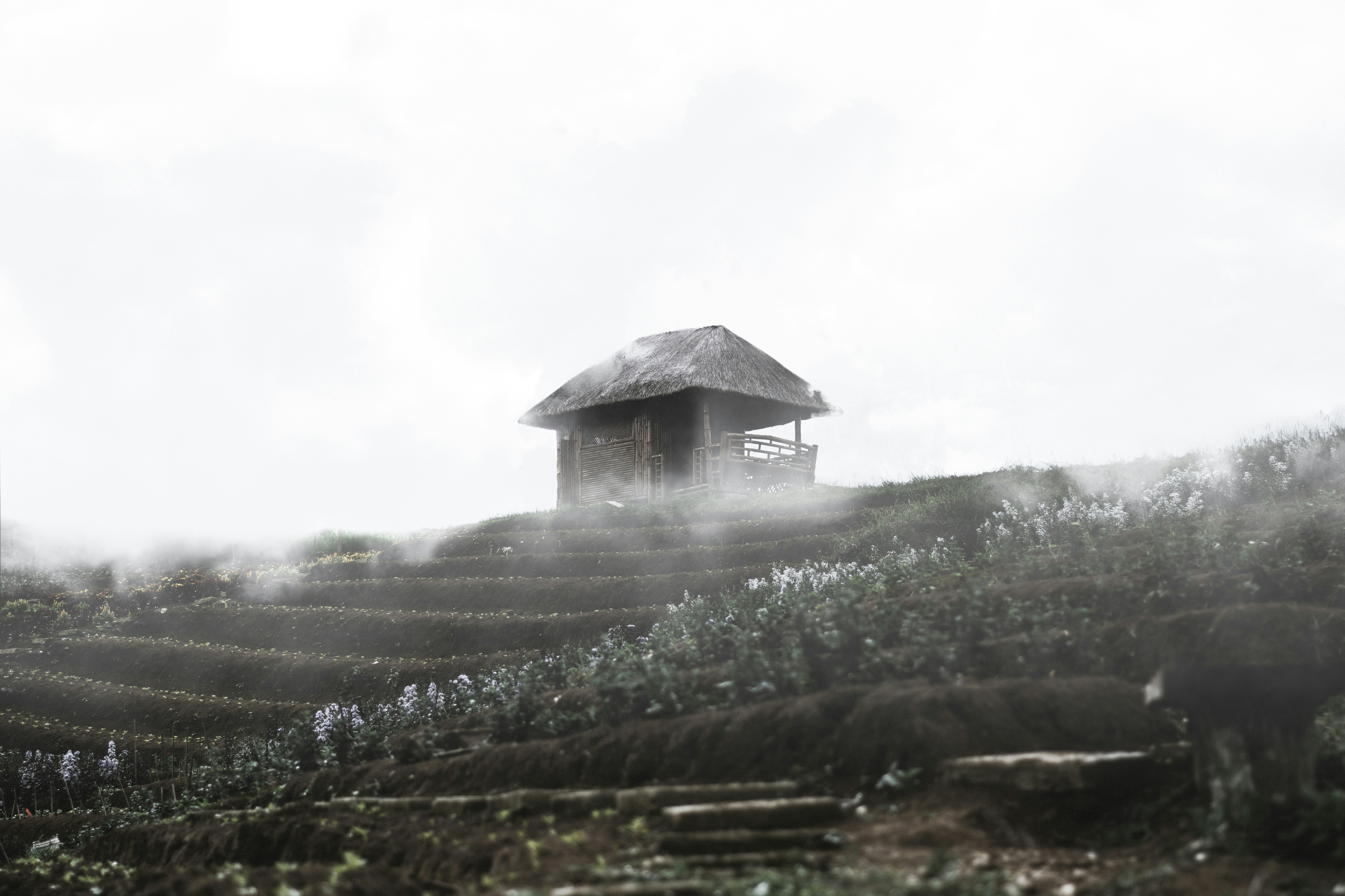 Photo by jean8carcallas