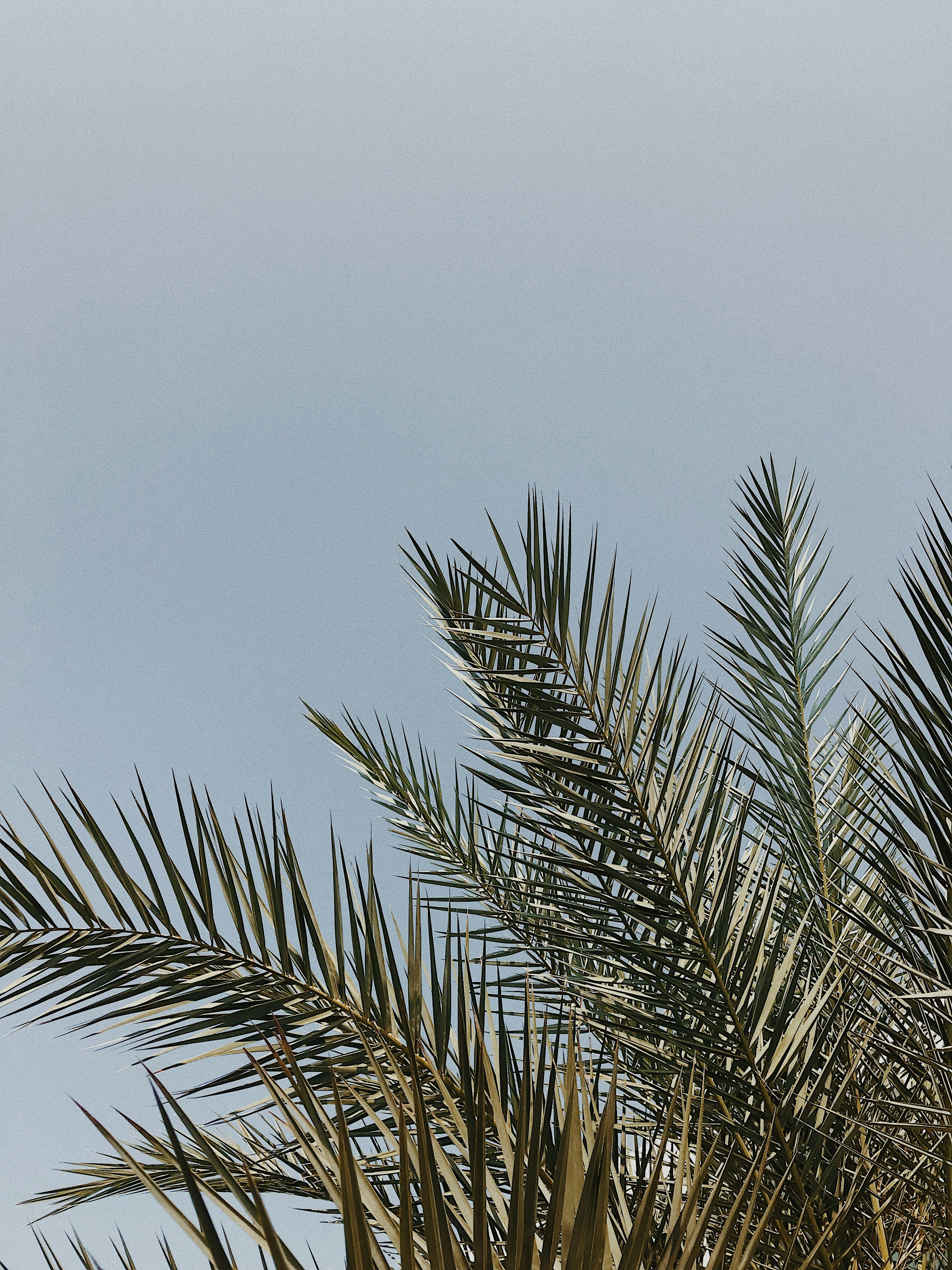 Photo by olegivanovpht