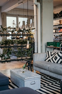 A cozy living room setting with a modern industrial design featuring a gray sofa adorned with a geometric black-and-white pillow. In front of the sofa, there is a large, vintage-style metal trunk serving as a coffee table. A variety of green potted plants are neatly arranged on shelves, enhancing the natural ambiance. The room is well-lit by multiple pendant lamps, and the floor is covered with a black-and-white striped rug.