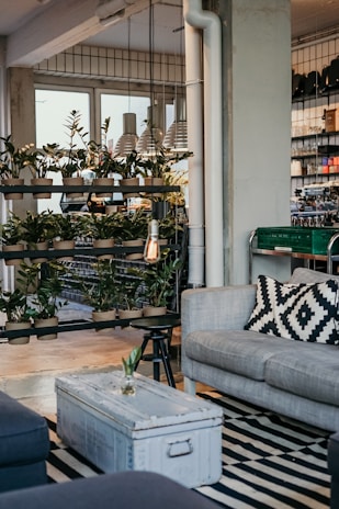 A cozy living room setting with a modern industrial design featuring a gray sofa adorned with a geometric black-and-white pillow. In front of the sofa, there is a large, vintage-style metal trunk serving as a coffee table. A variety of green potted plants are neatly arranged on shelves, enhancing the natural ambiance. The room is well-lit by multiple pendant lamps, and the floor is covered with a black-and-white striped rug.
