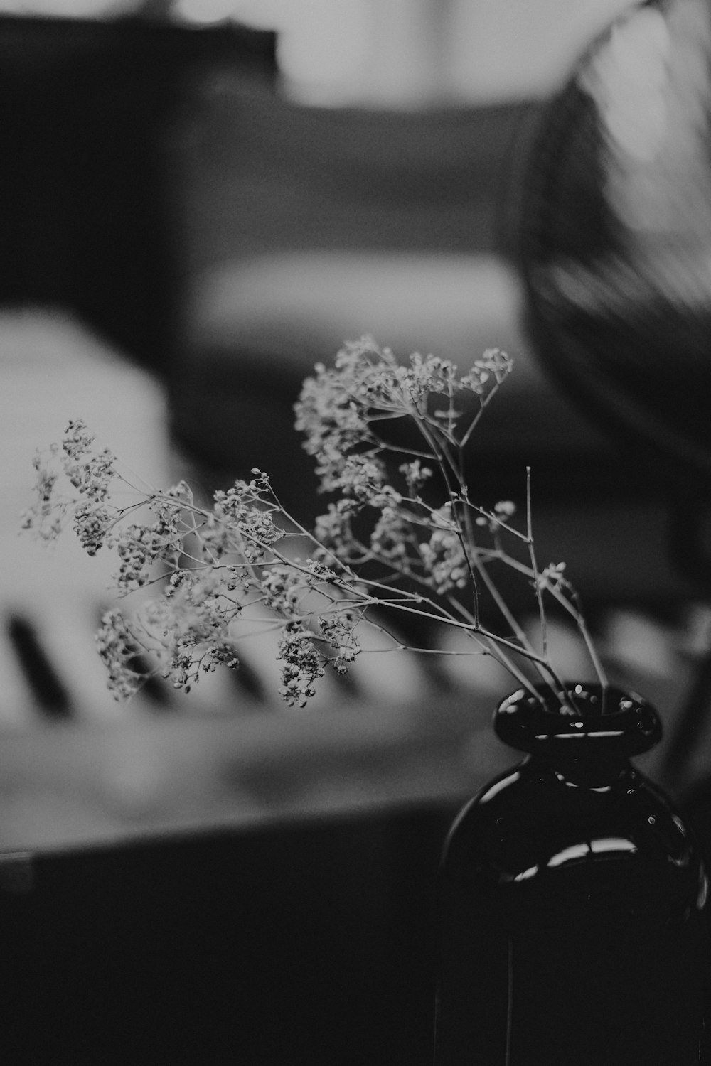 shallow focus photo of white flowers