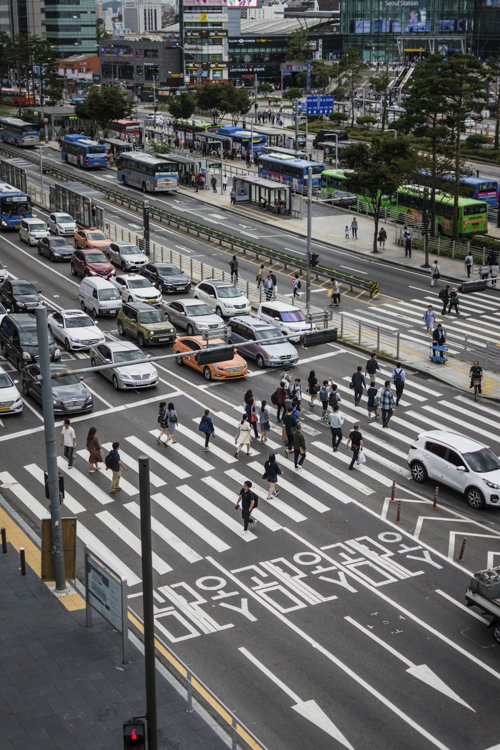 people walking on pedestrian lane during daytime