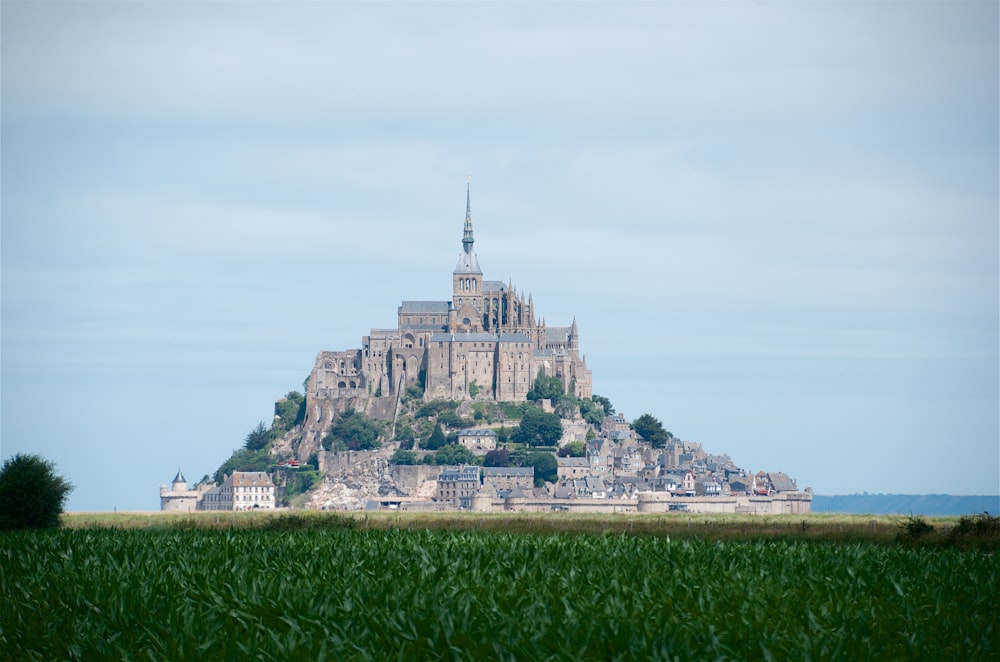 grass field and castle