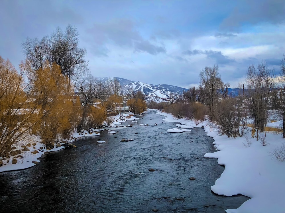 landscape photo of snow covered mountain near body of water during daytime