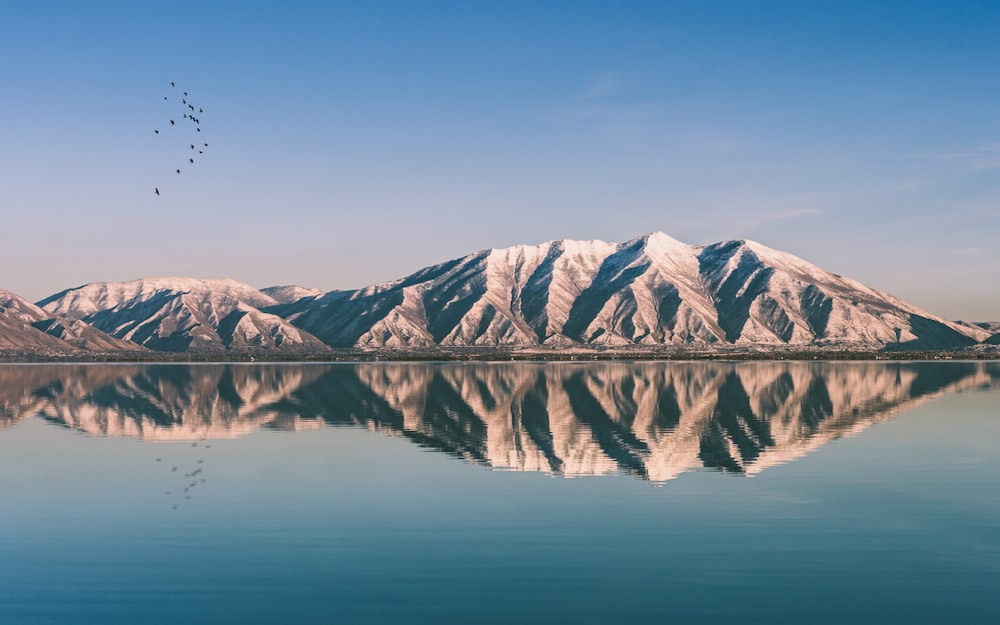 Fotografía panorámica de la montaña blanca y marrón