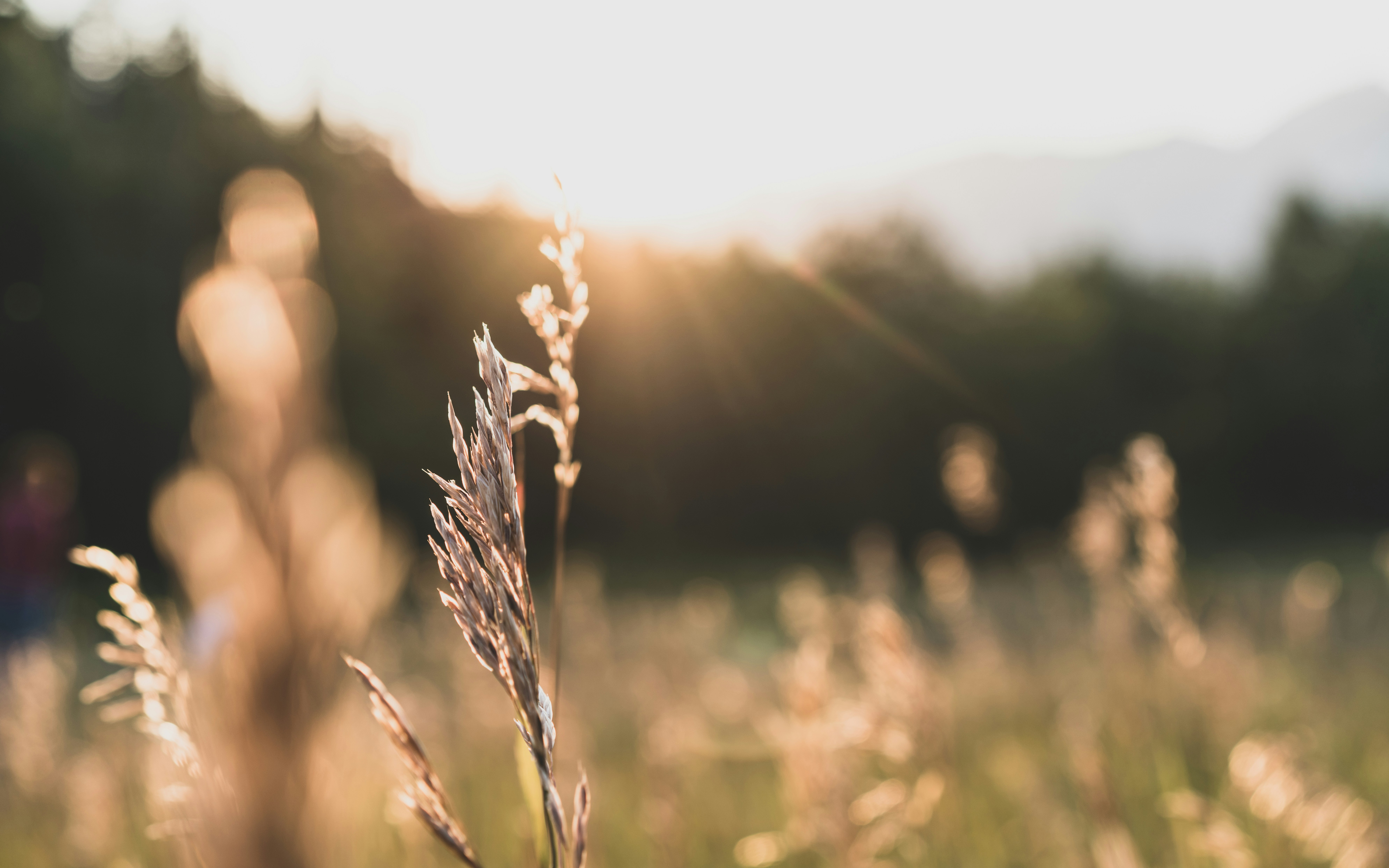 Photo by andrewjdutton