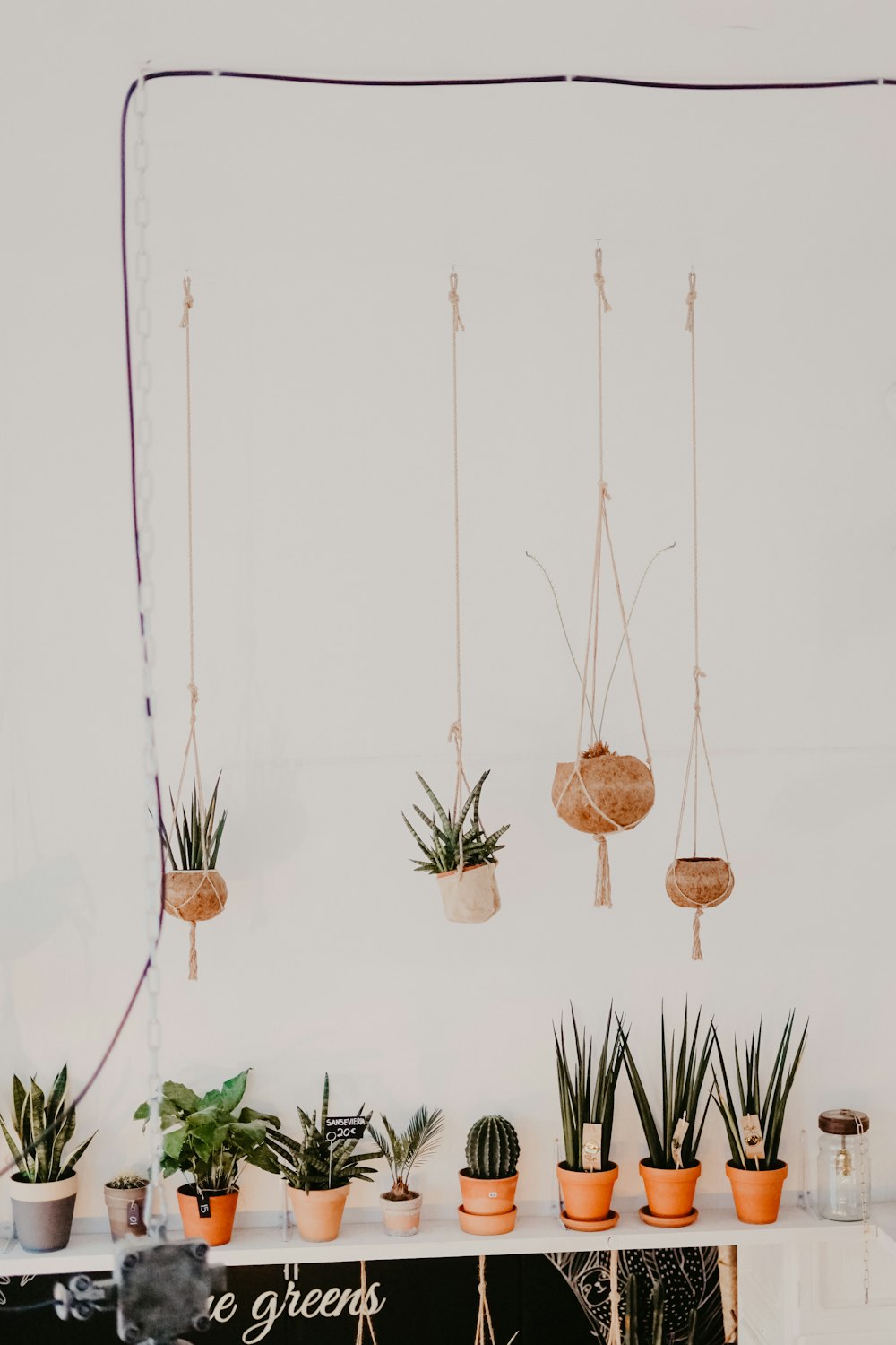 uma mesa coberta com vasos de plantas ao lado de uma parede branca