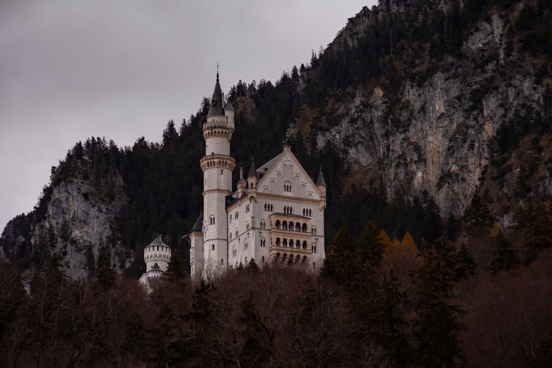 white painted castle in mountain top, Winter in Füssen (Neuschwanstein Castle)