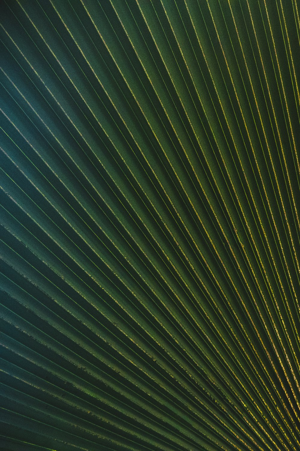 green and blue striped textile