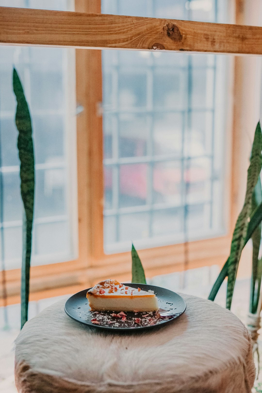 cake slice in green plate