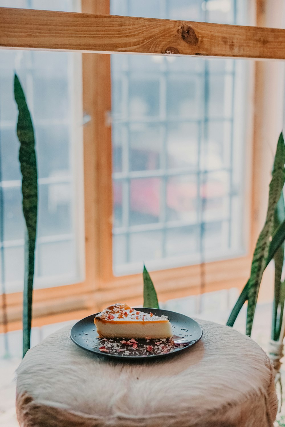 cake slice in green plate