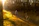 Smiling woman walking a joyful dog through a sunlit forest trail