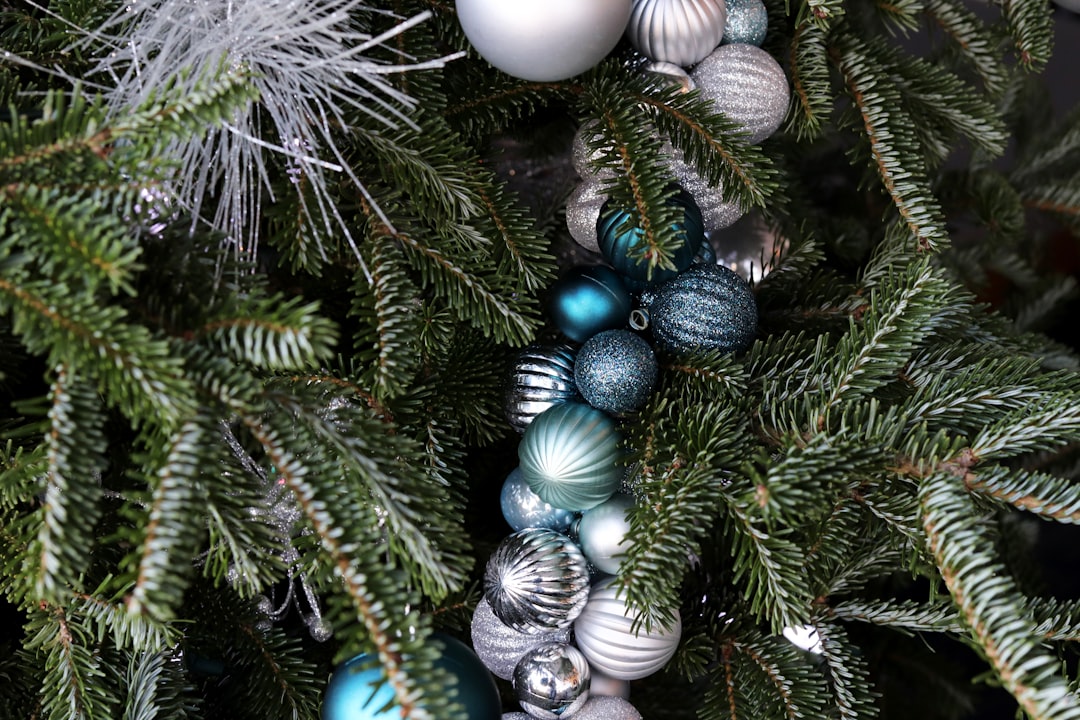 assorted-color baubles on green Christmas tree
