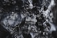 black and white floral textile