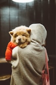 A fluffy dog wearing a red sweater rests comfortably on a person's shoulder. The person is dressed in a cozy, light-colored fleece hoodie and carries a pink bag. The setting appears dimly lit, suggesting an indoor environment with a warm atmosphere.