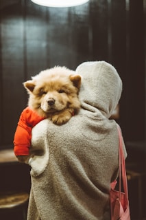 A fluffy dog wearing a red sweater rests comfortably on a person's shoulder. The person is dressed in a cozy, light-colored fleece hoodie and carries a pink bag. The setting appears dimly lit, suggesting an indoor environment with a warm atmosphere.