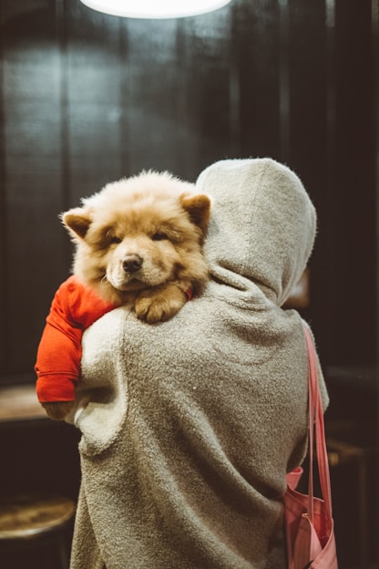 A cozy scene featuring a person wearing a dog-themed hoodie, smiling while petting their happy dog.