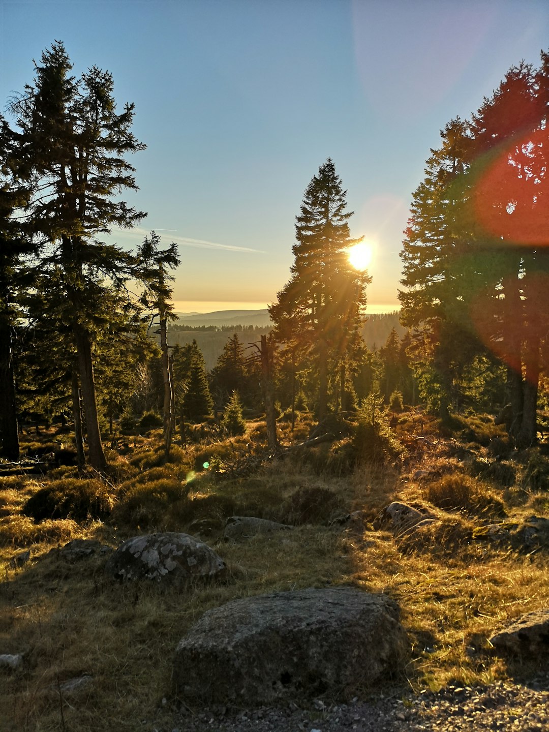 Forest photo spot K1356 Hexentanzplatz Thale