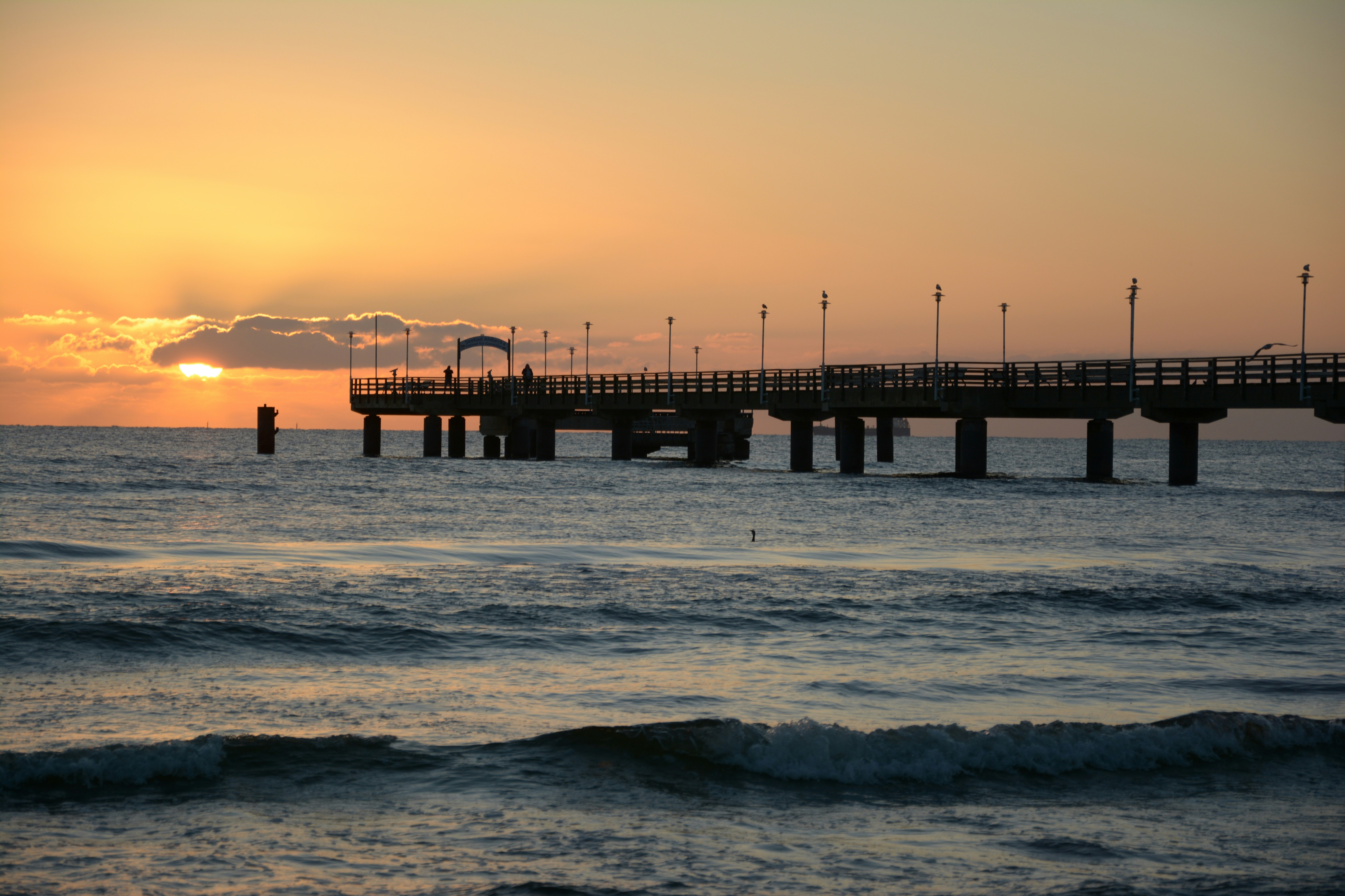 Photo by sascha_heide