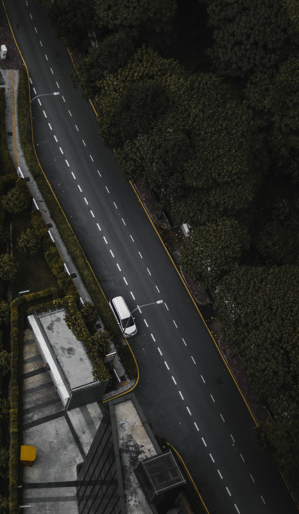 aerial photo of white car passing by trees during daytime