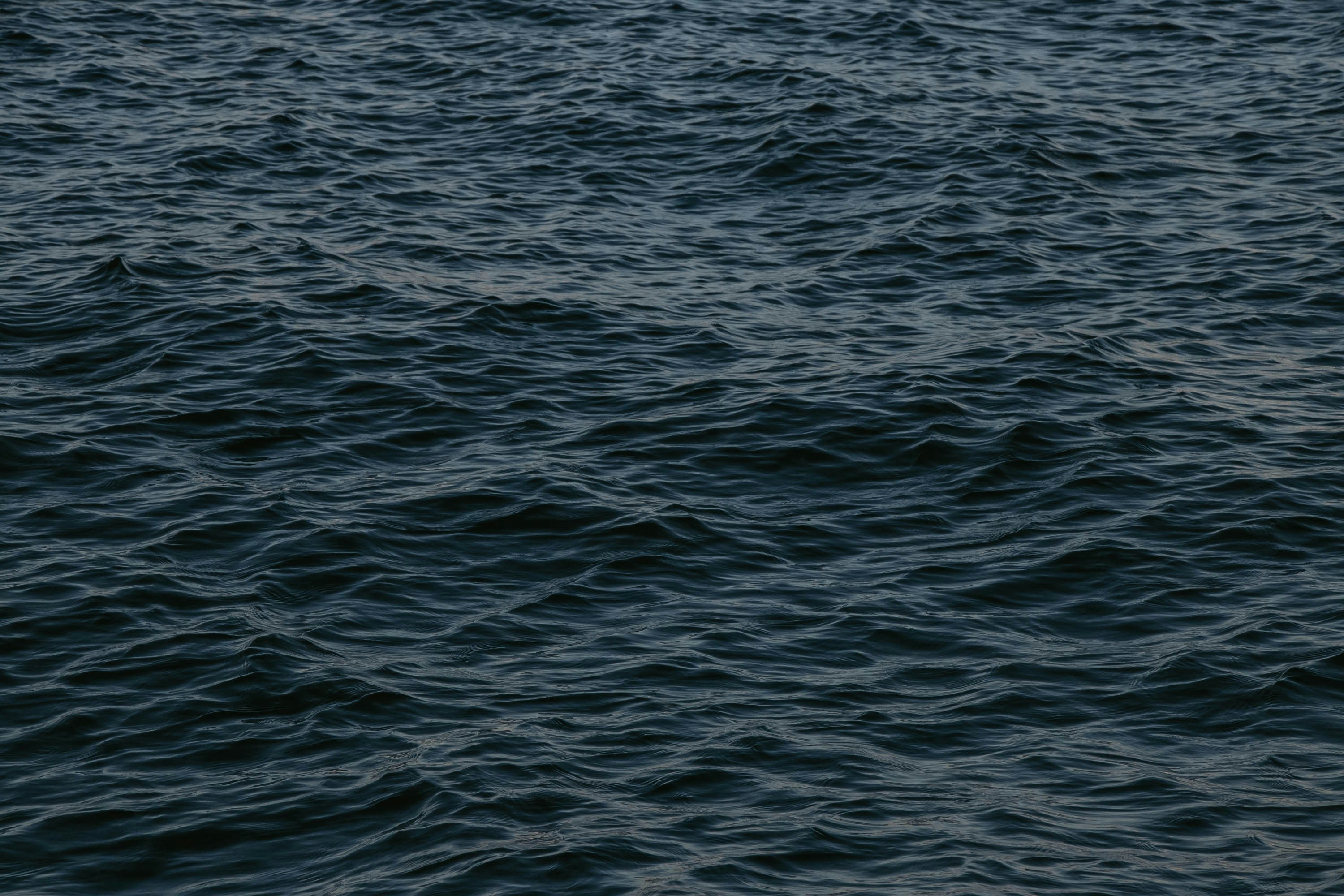 Photo by juaraujotheartist