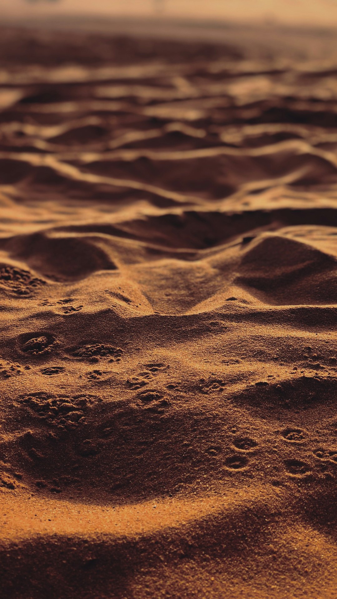 Deserts Pictures | Download Free Images on Unsplash