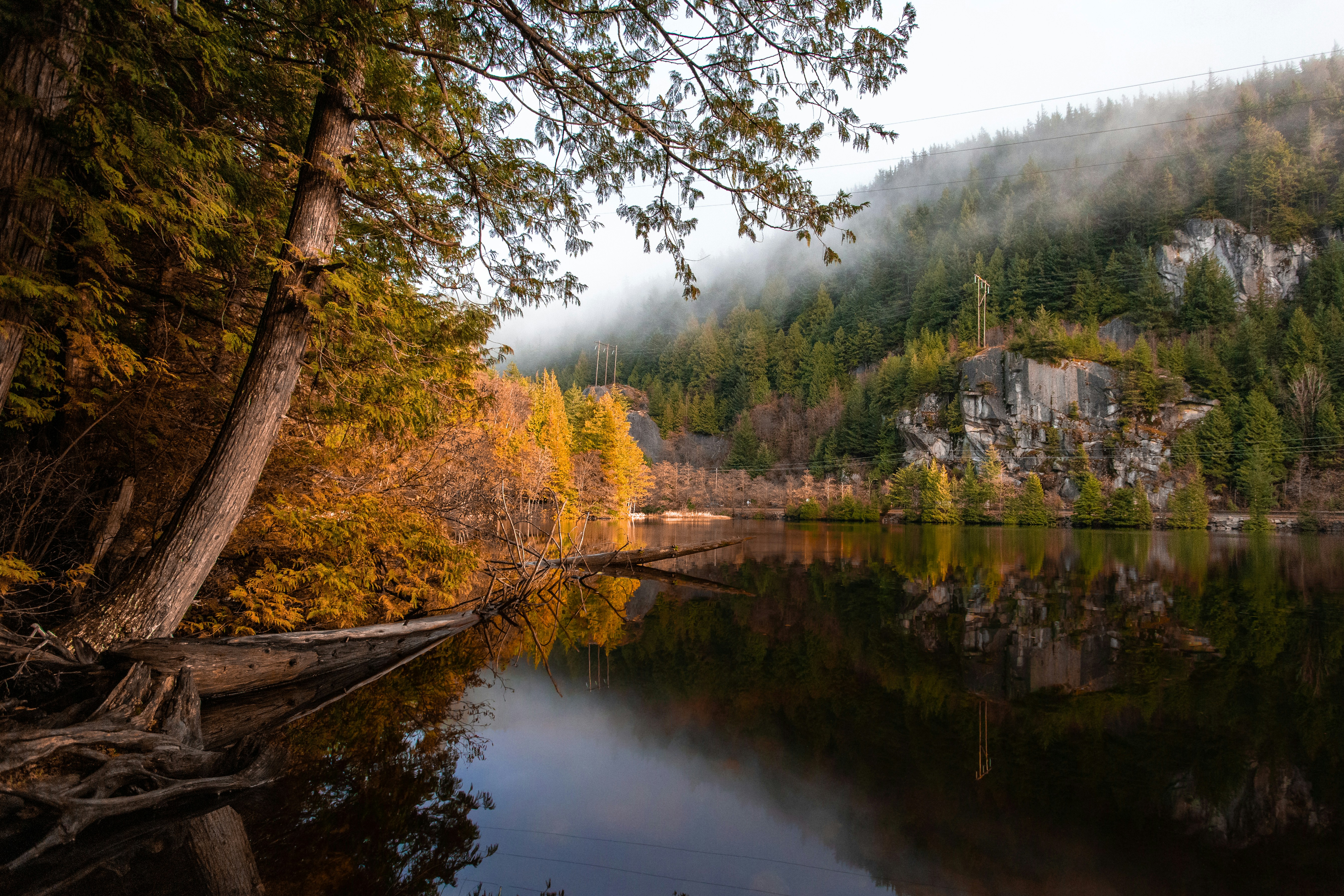 Photo by angelohmygosh