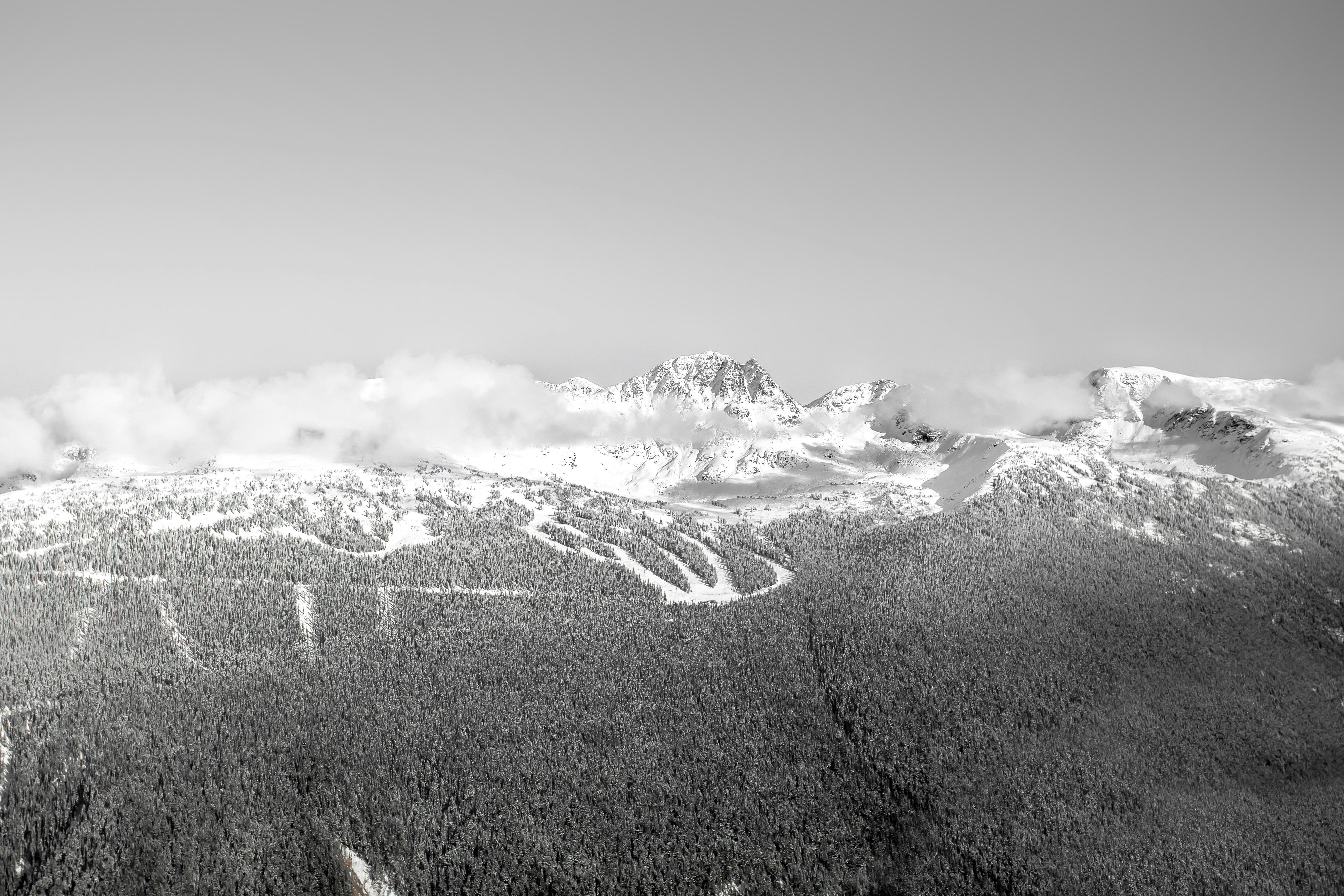 Photo by angelohmygosh