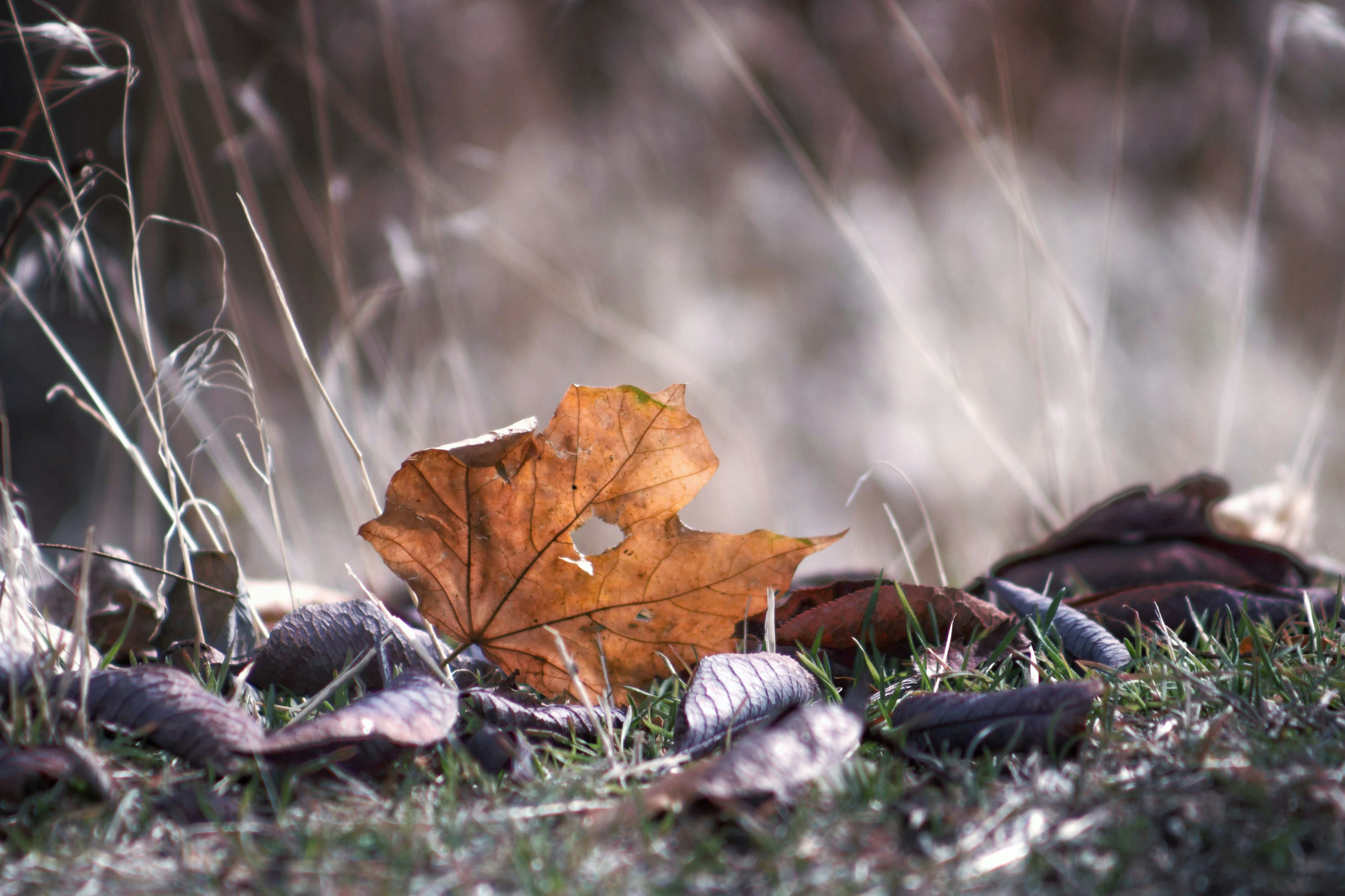 Photo by joshua_hoehne