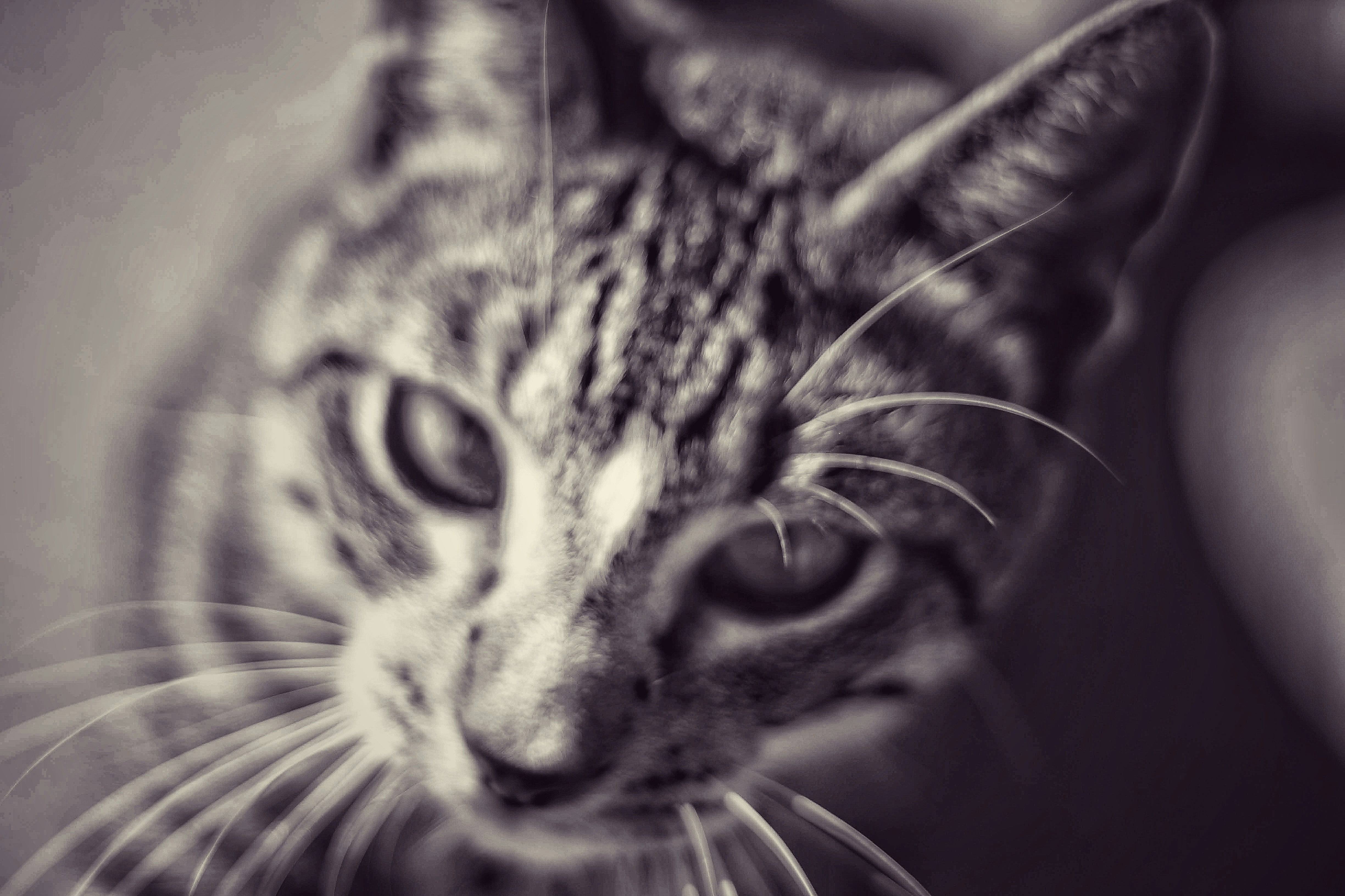 Photo by joshua_hoehne