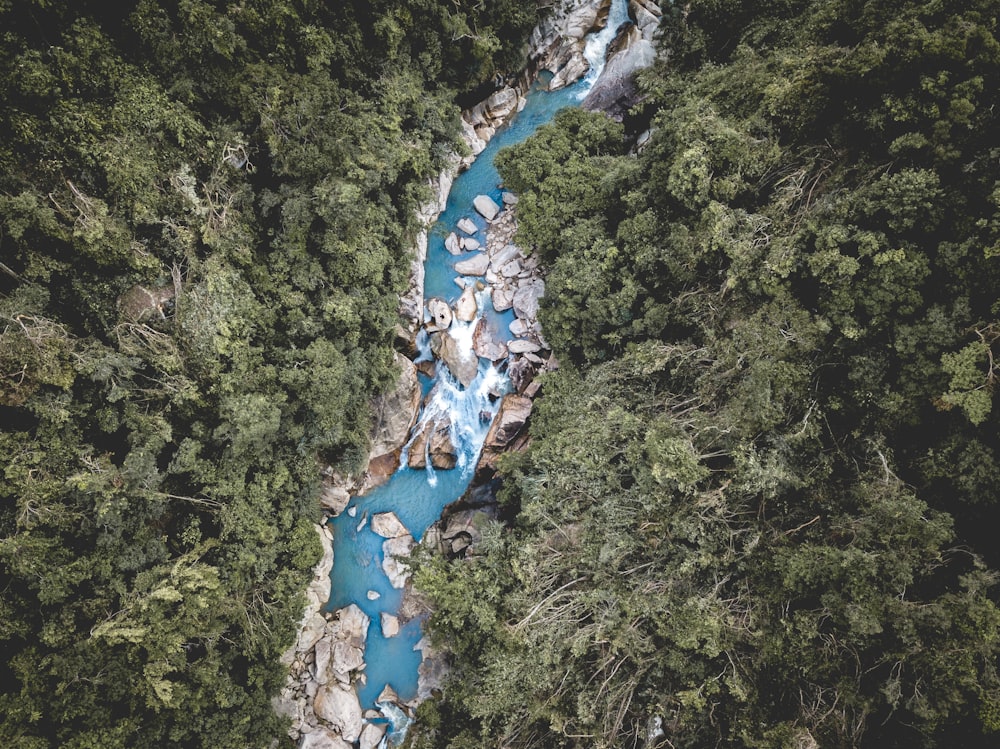 bird's eye view of river