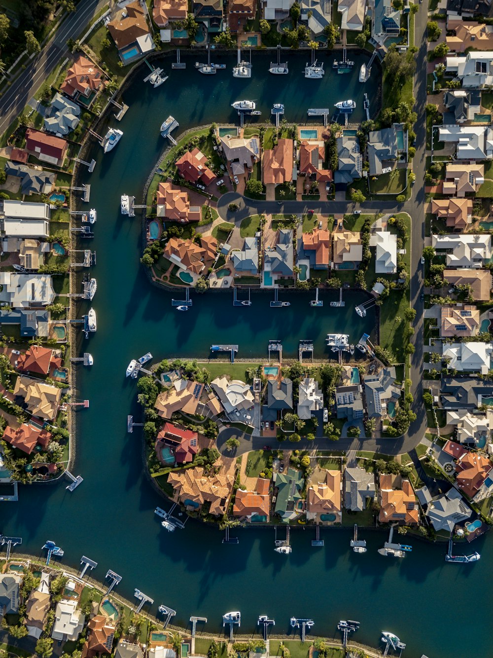 birds-eye view photo of houses