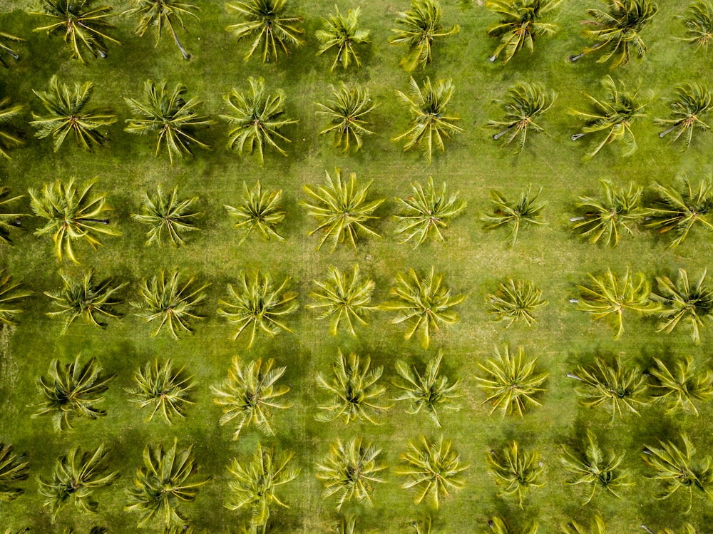 green and brown floral textile