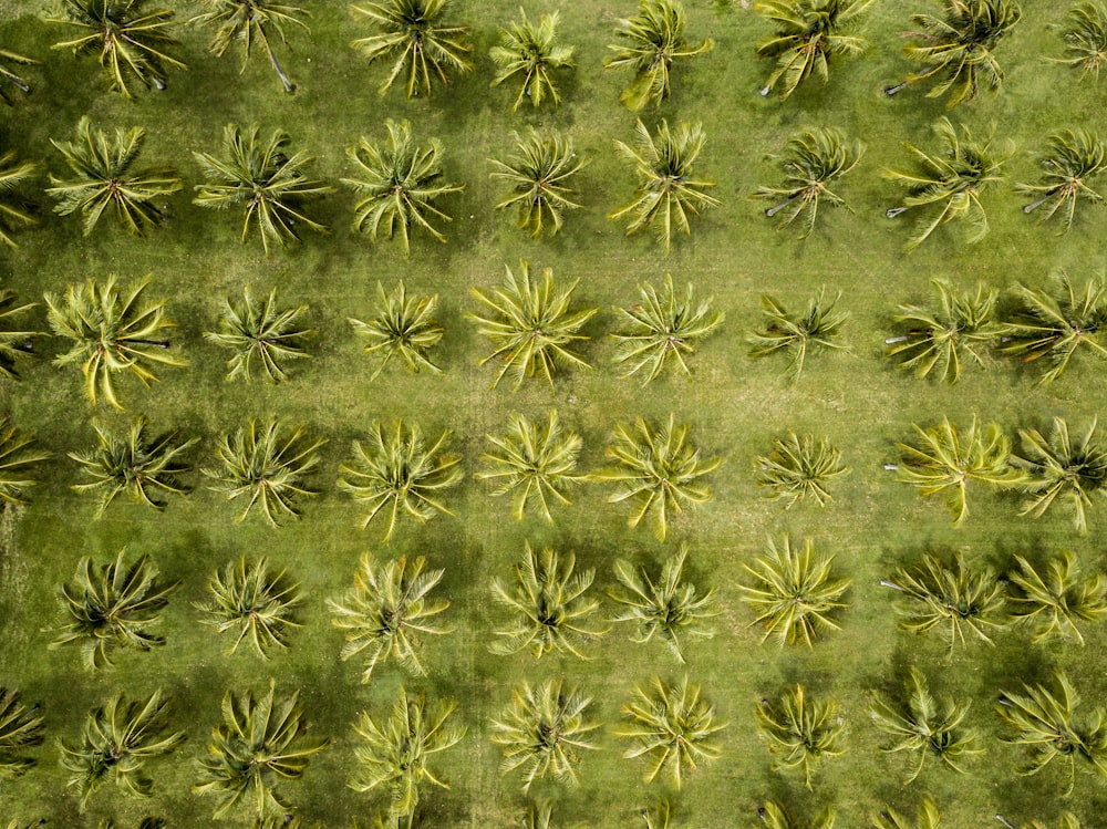 green and brown floral textile