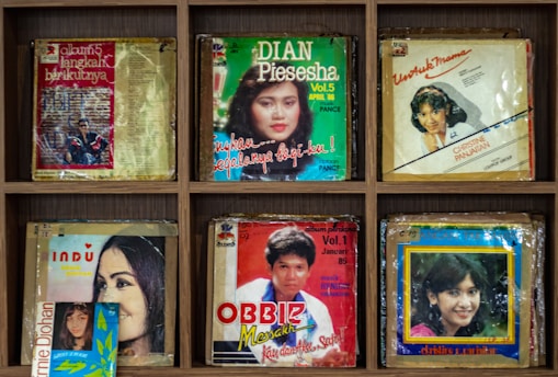 A collection of vintage album covers arranged in a wooden shelf. The covers feature portraits of various artists, with colorful designs and titles in different fonts. Each album is encased in plastic, showing signs of age and wear. The overall layout is organized and symmetrically arranged.