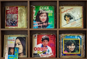 A collection of vintage album covers arranged in a wooden shelf. The covers feature portraits of various artists, with colorful designs and titles in different fonts. Each album is encased in plastic, showing signs of age and wear. The overall layout is organized and symmetrically arranged.