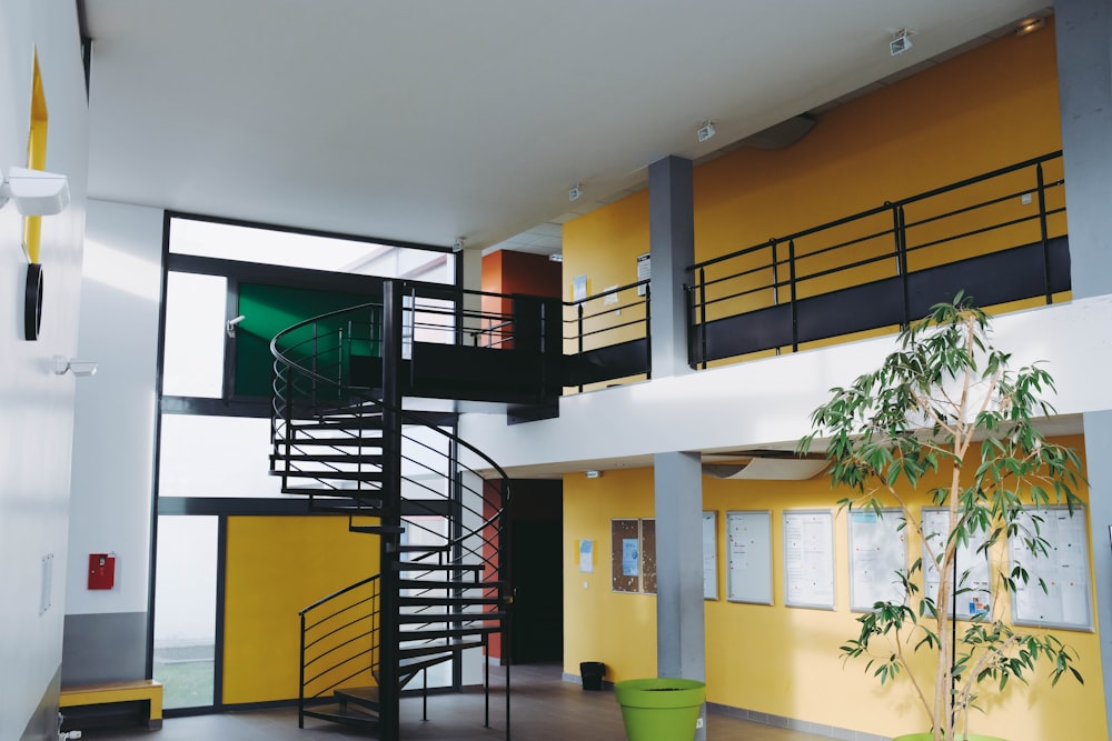 flower pot empty near spiral stairs inside empty room