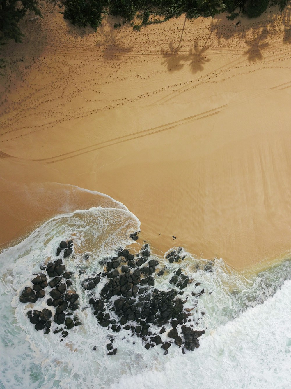 El agua golpea las rocas en la orilla cerca de los árboles durante el día