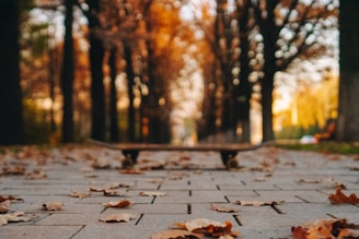 Longboard cruising down a sunlit street with autumn leaves scattered