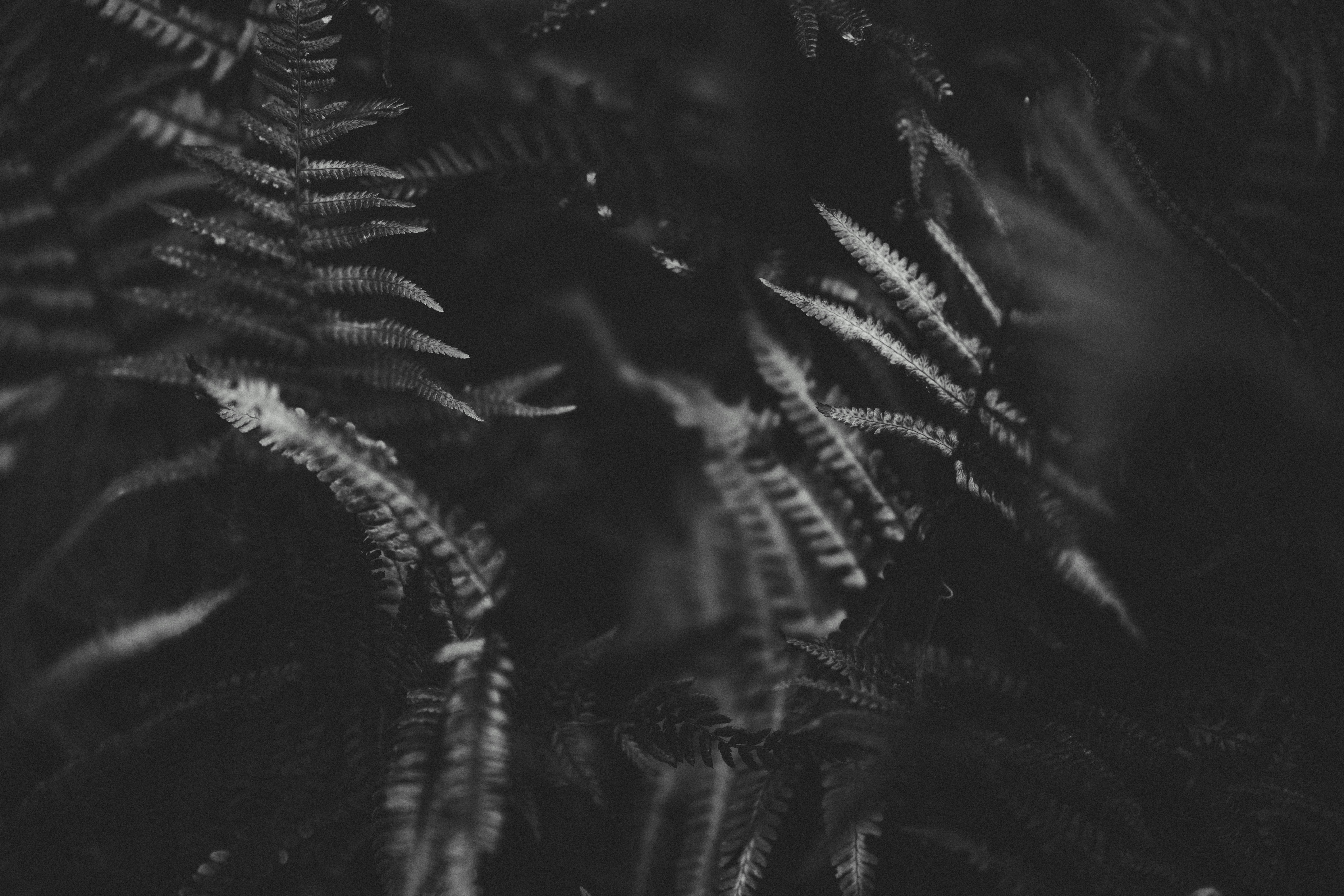 Photo by anniespratt