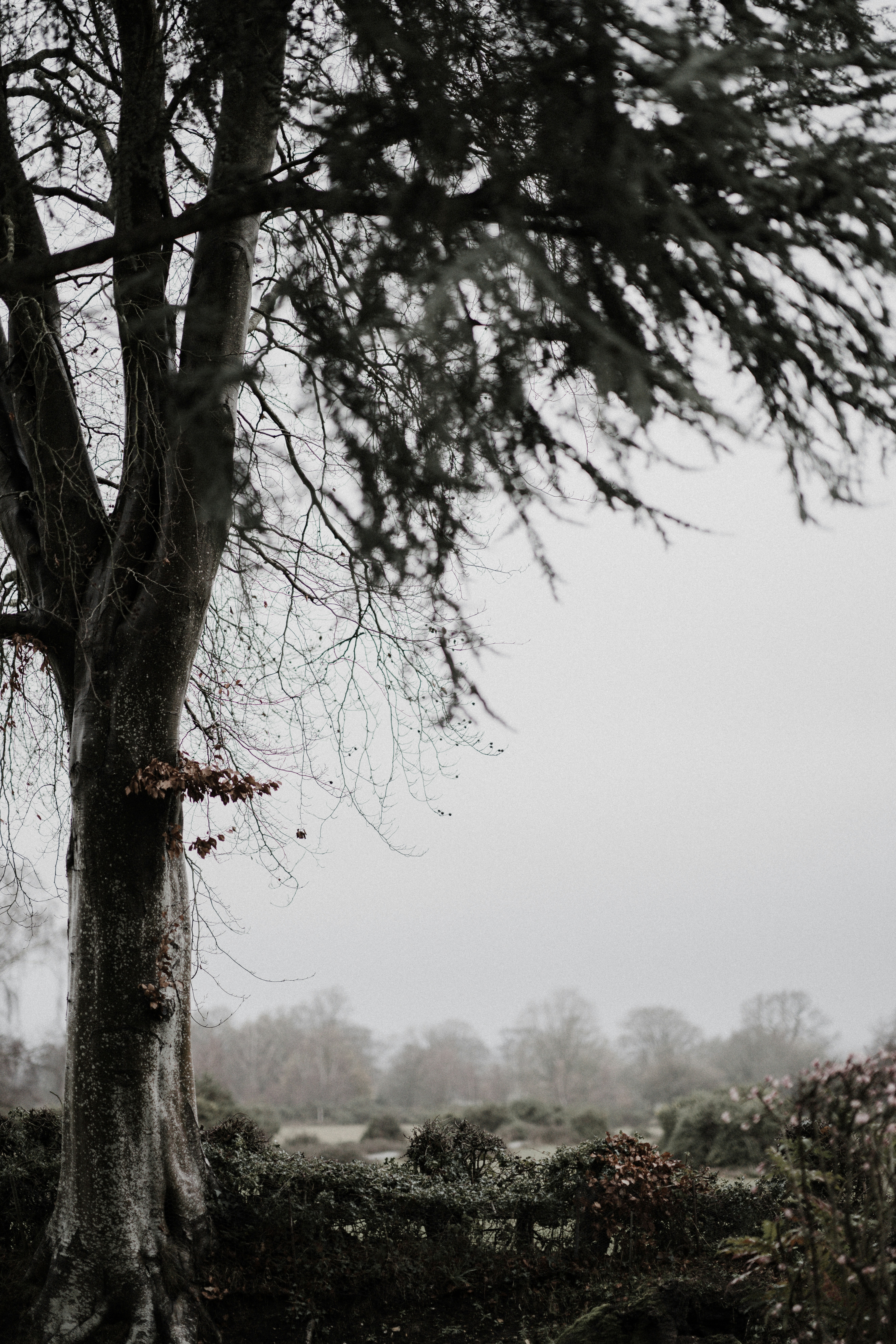 Photo by anniespratt