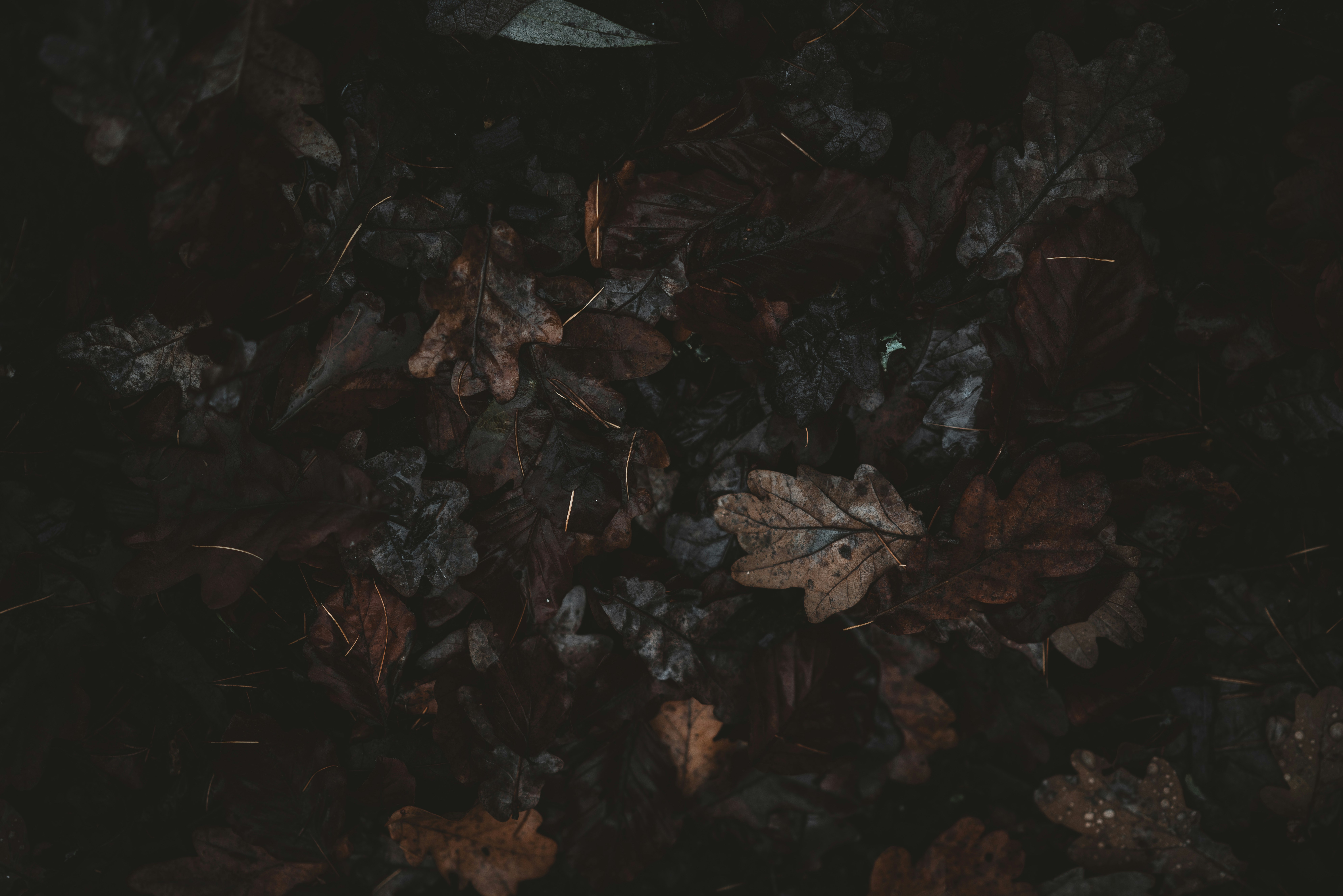 Photo by anniespratt