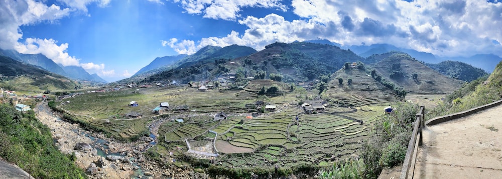 rice field farm under cloudy sky at daytime