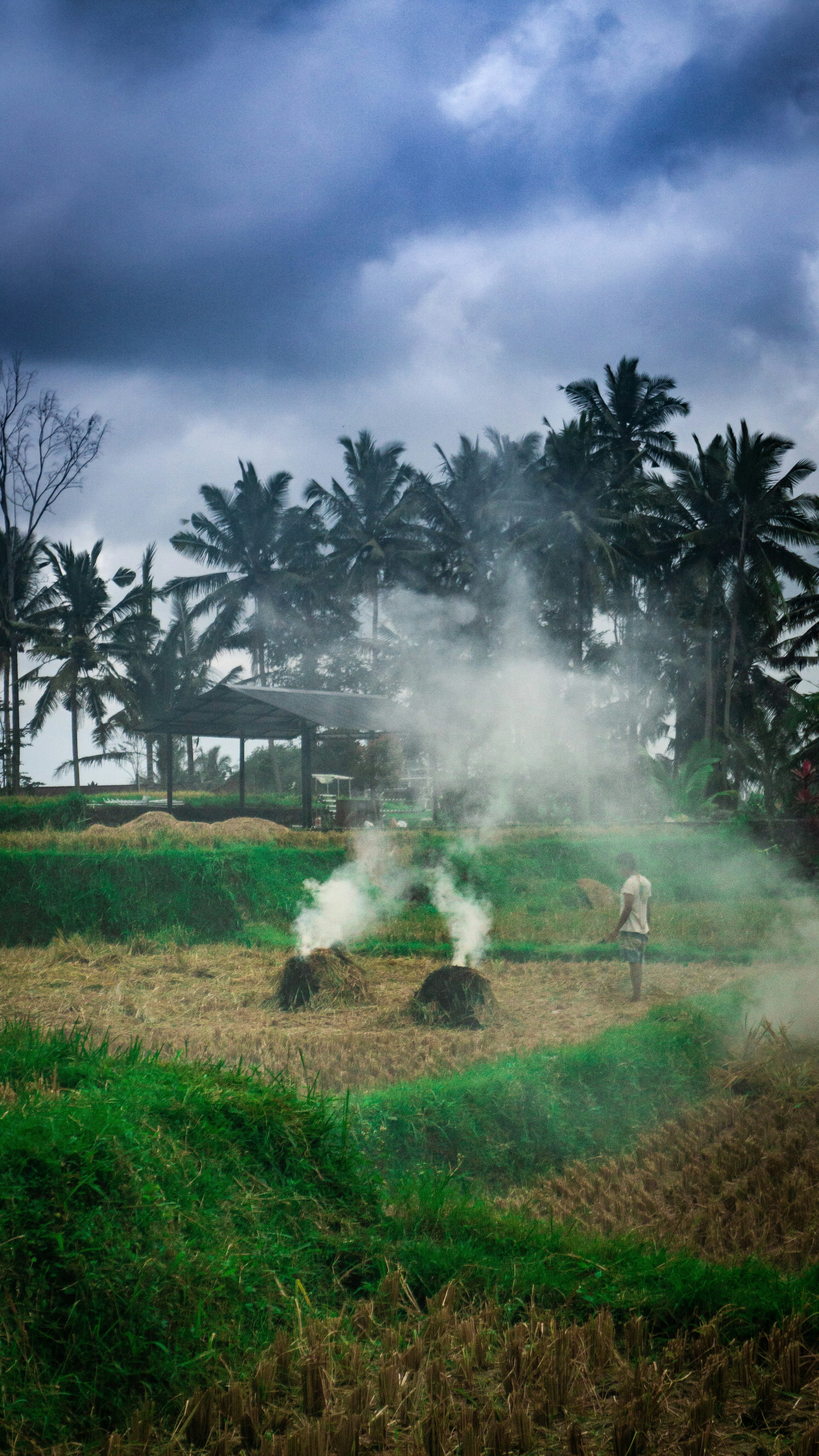 person in front of white smokes