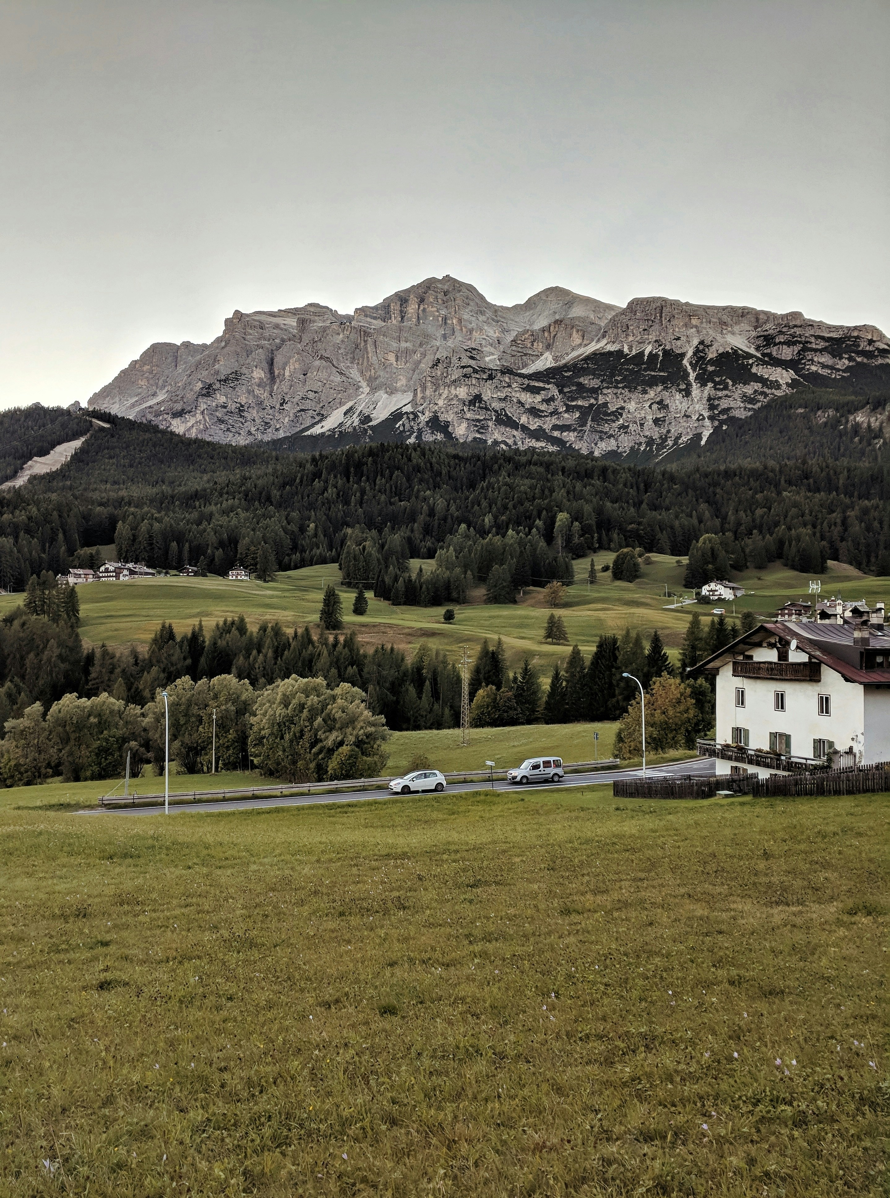 Grüne Wiese und Berglandschaft