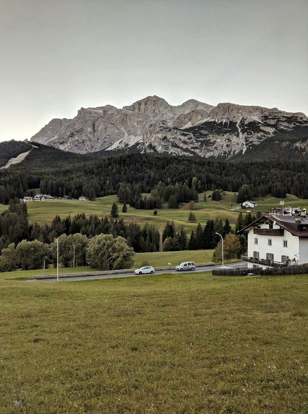 green grass field and mountain scenery